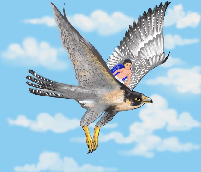 image 4